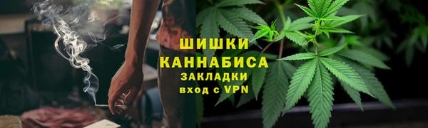 прущие грибы Липки