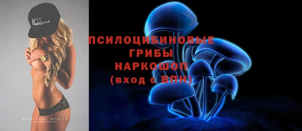 дмт Верхний Тагил