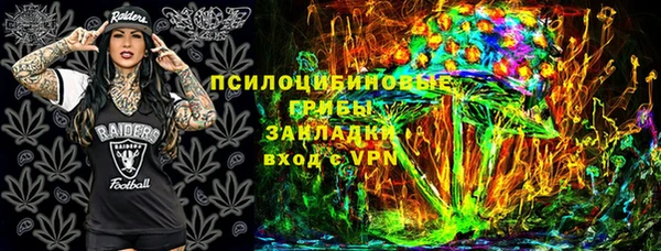 молекула духа Нефтегорск